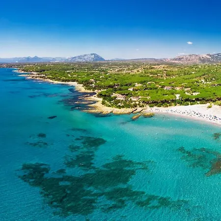 Holiday home Le Palme *