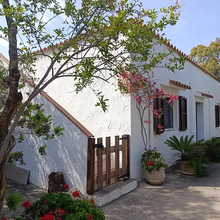 Le Palme Дом отдыха *