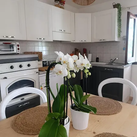 Le Palme Holiday home