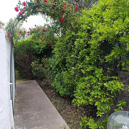 Le Palme Holiday home Cala Liberotto