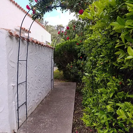 Le Palme Holiday home