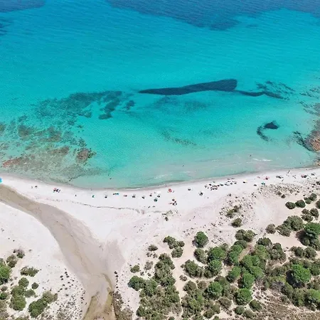 Le Palme Hébergement de vacances *