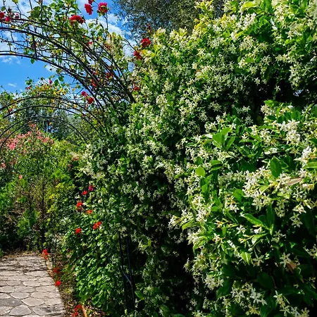 Σπίτι διακοπών Le Palme *