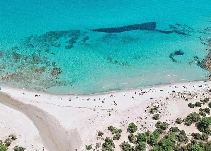 Le Palme Casa de Férias *
