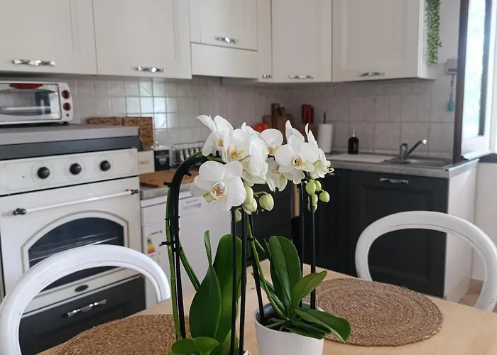 Le Palme Casa de Férias