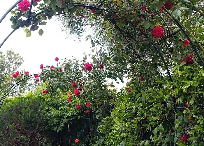 Le Palme Cala Liberotto